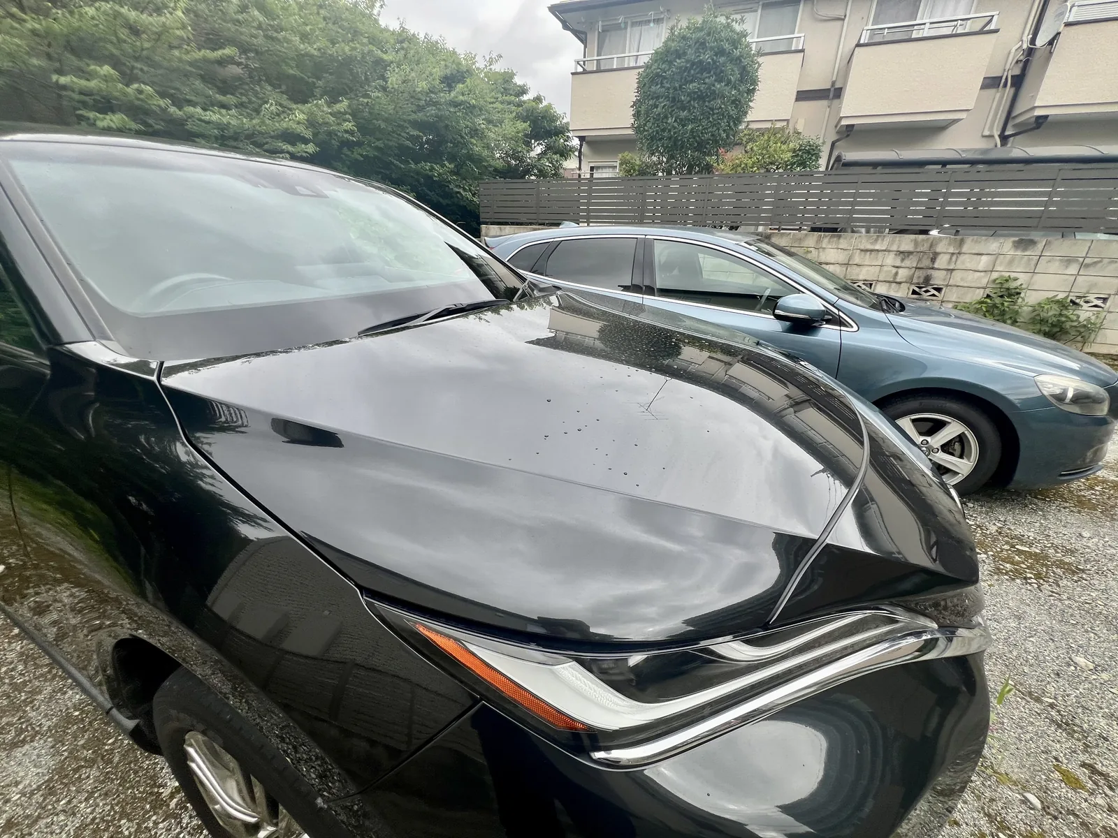 雨上がりに少し離れて撮影した黒いハリアー80系の車体