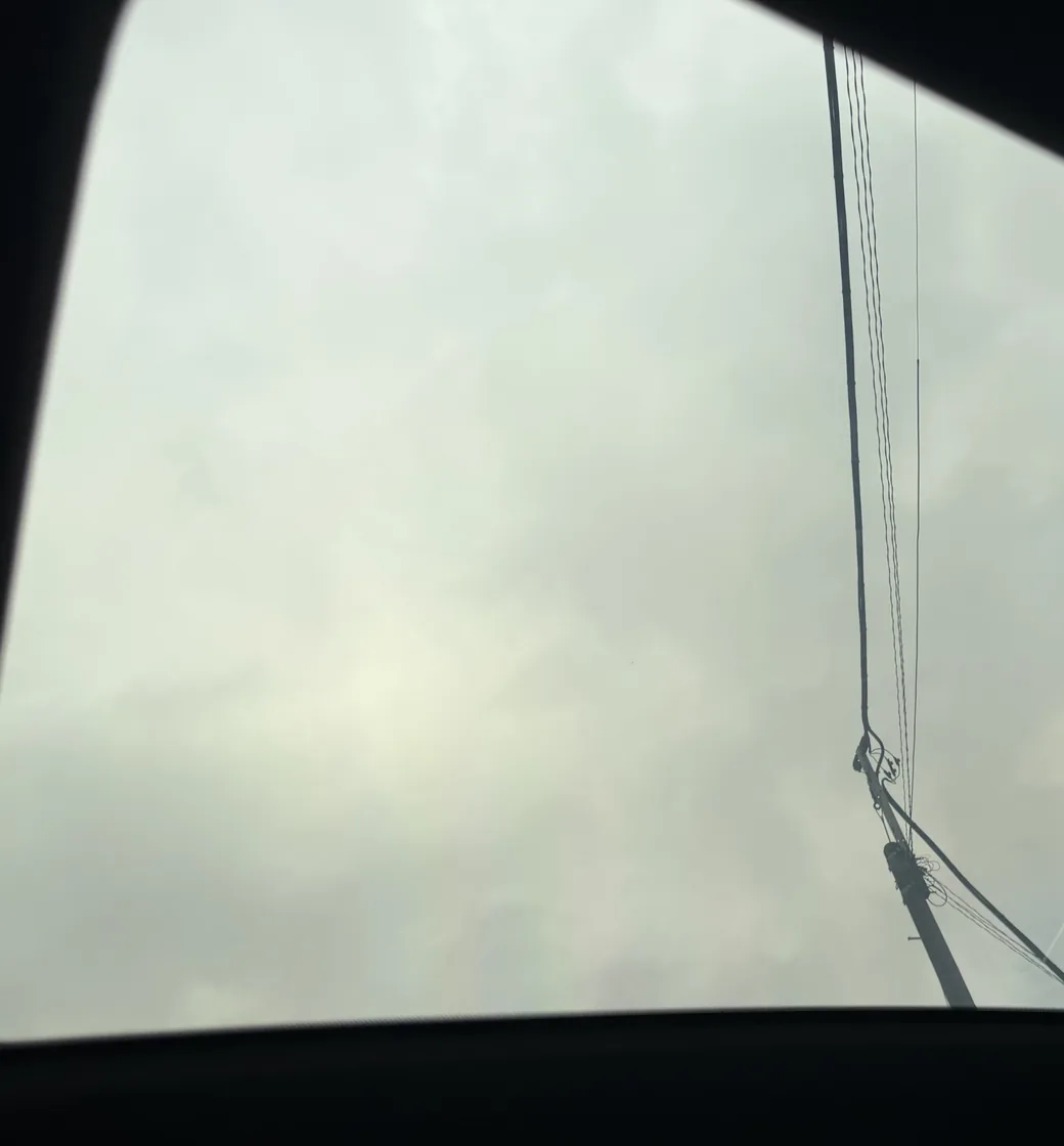 空と電線が透けて見える調光パノラマルーフ